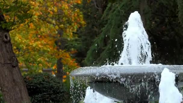 Stark Vind Strössel Vatten Från Arbetande Fontäner — Stockvideo