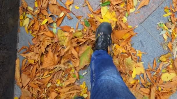 足で紅葉を散布します — ストック動画
