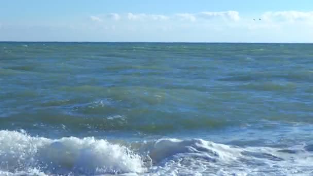 Sturm Schwarzen Meer — Stockvideo