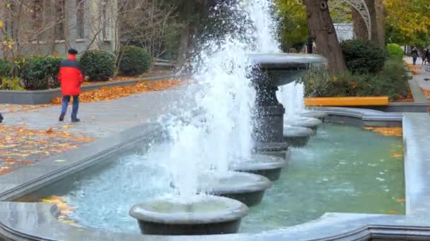 Wind Strongly Inflates Water Fountain — Stock Video