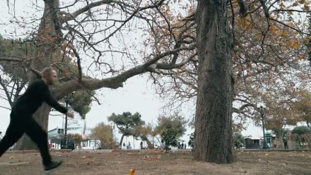 Adam ağaca atlayarak takla atarak takla atıyor. Adam parkour antrenmanı yapıyor. Soğuk bir sonbahar gününde korkuluklara atlıyor. Ters takla atıyor. Zekice atladın. Parkour. — Stok video