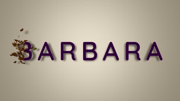 Jmenuje se Barbara. Samičí jméno Barbara na světlém pozadí zmizí v motýlech. Minimální grafika. 4k — Stock video