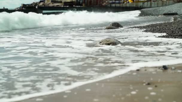 Orilla del mar. En la orilla del mar, las olas lavan la orilla con un clima soleado y tranquilo. Costanera en una playa de piedra . — Vídeo de stock