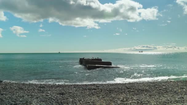 Ein Mann geht an der Küste entlang. Im Meer steht ein alter Steg, auf dem Möwen sitzen und sich an einem sonnigen Wintertag entspannen. — Stockvideo