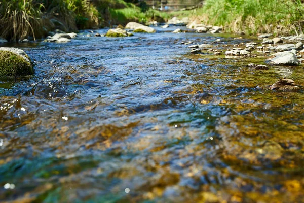 Une Petite Rivière Printemps Eau Claire Dans Rivière Par Une — Photo