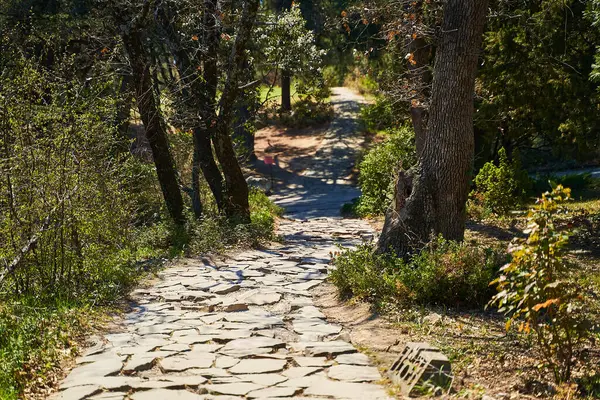 Baharda parkta çakıllı yürüyüş yolu. Parktaki Yol.