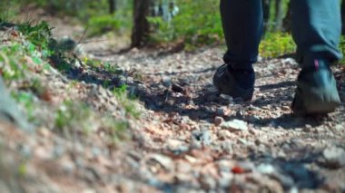 Spor ayakkabılı bir adamın bacakları ormanda bir patikada yürür.