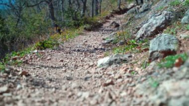 Spor ayakkabılı bir adamın bacakları ormanda bir patika boyunca koşuyor.