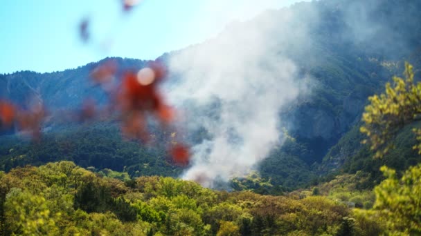 Καπνός από πυρκαγιά στο δάσος. Η ήττα στο φυλλοβόλο δάσος με φόντο τα βουνά. Concept αναλάβει τη φροντίδα του δάσους. — Αρχείο Βίντεο