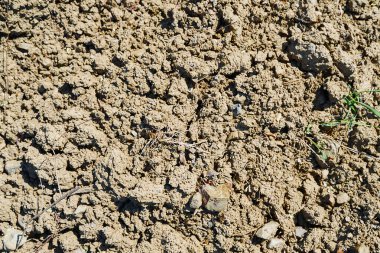 Toprak ve taşlarla kurumuş toprak dokusu