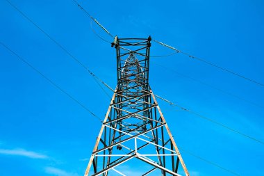 Orman bölgesinde mavi bir gökyüzüne karşı.