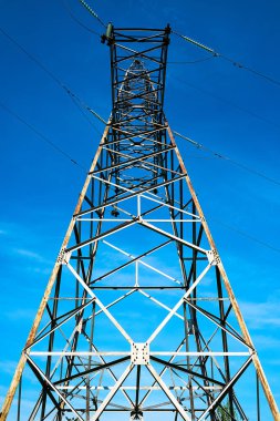 Orman bölgesinde mavi bir gökyüzüne karşı.