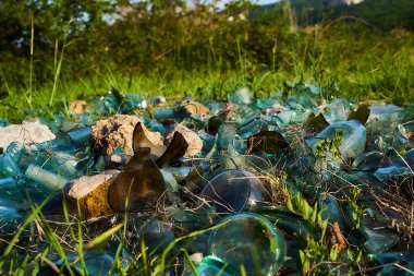 Açıklıkta büyük bir kırık cam yığını. Doğayla ilgilenmek kavramı. Kırık şişeler doğada.