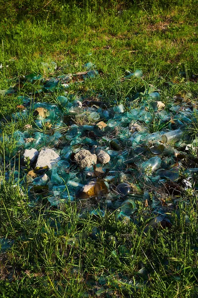 A large pile of broken glass in a clearing. Concept take care of nature. Broken bottles on the nature.