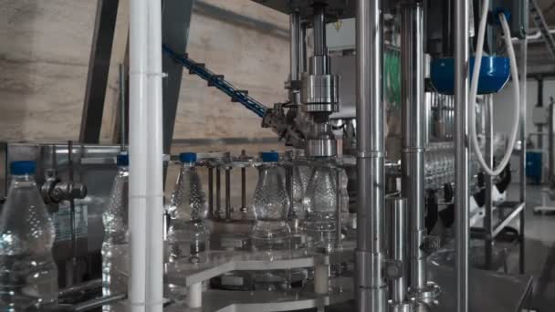 Planta Agua Potable Pura Transportador Trabajo Empresa Las Botellas Litro — Vídeo de stock