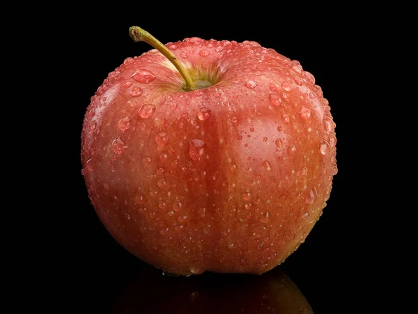 Zralé červené jablko — Stock fotografie