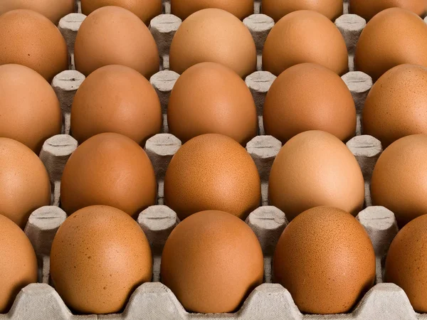 Large, brown eggs in cardboard packing — Stock Photo, Image