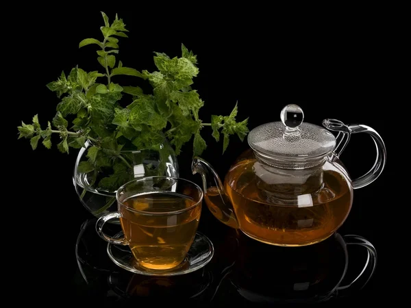 Färsk mynta och grönt te i ware från glas — Stockfoto