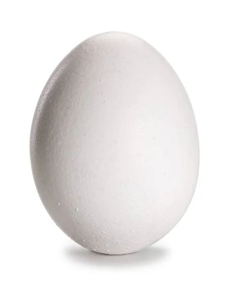Одно белое яйцо, крупным планом — стоковое фото