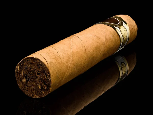 Cigar Robusto Primer Plano Una Diagonal Aísla Negro — Foto de Stock