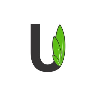 Yaprak logosu tasarım vektörü olan U harfi