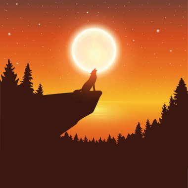 Kurt göl kenarındaki yıldızlı bir gecede dolunayda uluyor.