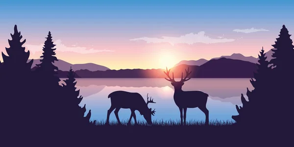 Dos renos junto al lago al amanecer fauna naturaleza paisaje — Vector de stock