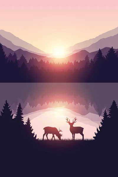 Duas renas junto ao lago ao nascer do sol natureza natureza paisagem —  Vetores de Stock