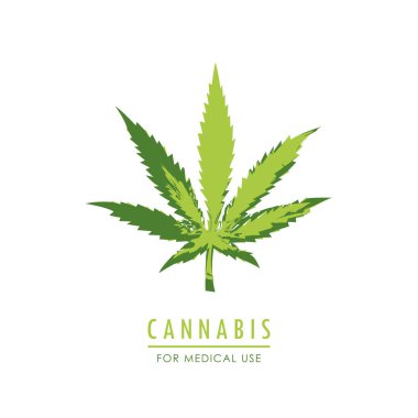 Tıbbi kullanım için esrar yeşil marihuana yaprağı