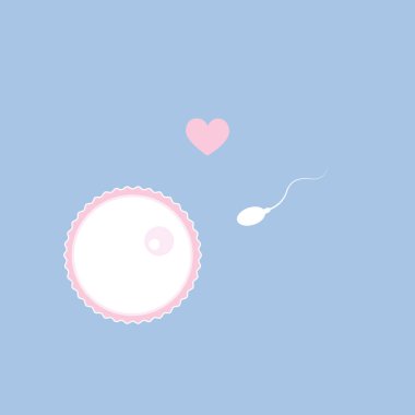 yumurta ve spermatozoon doğurganlık çoğaltılması