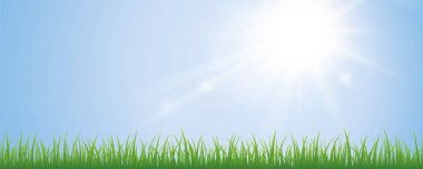sunny sky and green meadow background with copy space