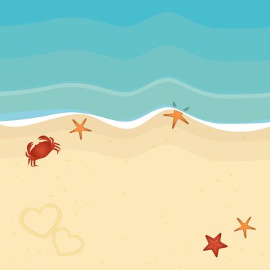 Deniz yıldızı ve yengeç ile sahilde yaz tatili