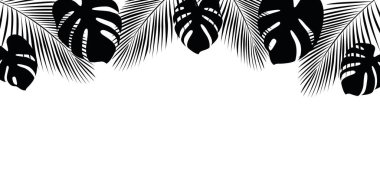 Beyaz arkaplanda tropik palmiye yaprakları