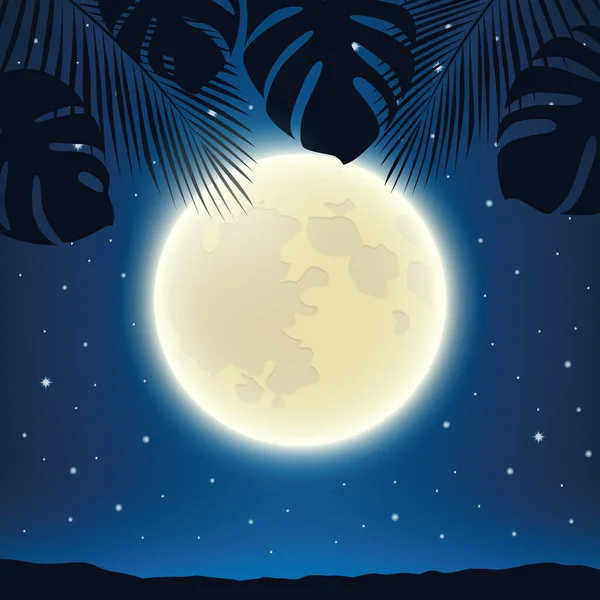 Romantische nacht achtergrond met volle maan en palm boom bladeren — Stockvector
