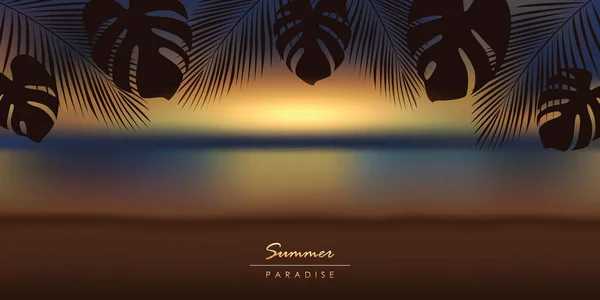 Pôr do sol tropical verão paraíso fundo com folhas de palma —  Vetores de Stock