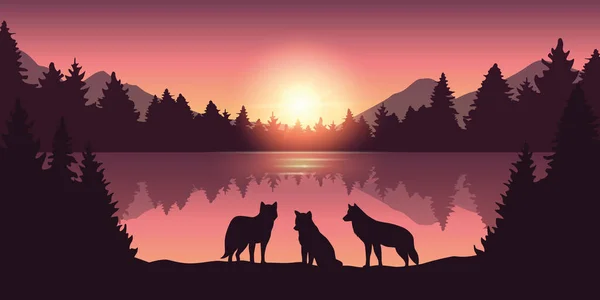 Güzel mor ormanda kurt sürüsü ve gün doğumunda doğa gölünün manzarası.