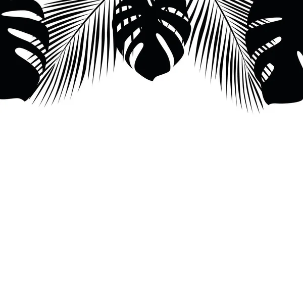 Liście palmy tropikalnej na białym tle — Wektor stockowy
