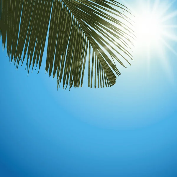 Пальмовый лист на фоне солнечного неба летний дизайн — стоковый вектор
