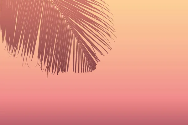 Yazın gökyüzü arka planında palmiye yaprağı silueti — Stok Vektör