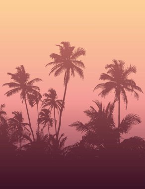 Yaz mevsimi arka planında palmiye ağacı silueti
