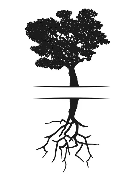 木のシルエット夏と冬の反射 — ストックベクタ