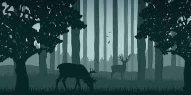 Yeşil orman tabiatında yaban geyiği