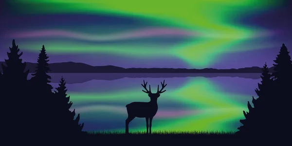 Wildlife deer by the lake with beautiful polar lights in the sky — Stock Vector