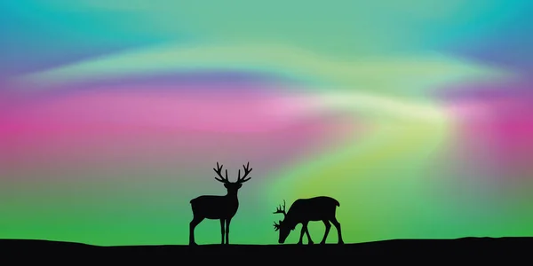 Wildlife hert paar met aurora borealis poollicht achtergrond — Stockvector