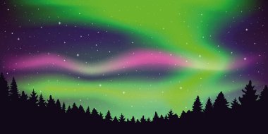 Aurora Borealis Ormandaki yıldızlı gökyüzünde güzel kutup ışıkları