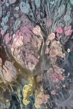 Petri - resimde modern bir teknik, epoksiye alkollü mürekkep ekleyerek yaratılır. Sertleştikten sonra mürekkep damlaları sertleşir ve alg, karamel resifleri ve deniz yatağı gibi görünür..