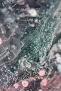 Petri - resimde modern bir teknik, epoksiye alkollü mürekkep ekleyerek yaratılır. Sertleştikten sonra mürekkep damlaları sertleşir ve alg, karamel resifleri ve deniz yatağı gibi görünür..