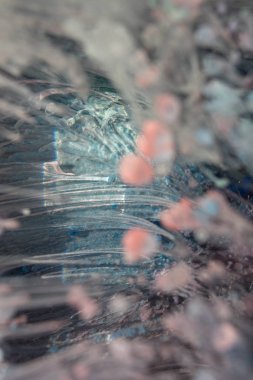 Petri - resimde modern bir teknik, epoksiye alkollü mürekkep ekleyerek yaratılır. Sertleştikten sonra mürekkep damlaları sertleşir ve alg, karamel resifleri ve deniz yatağı gibi görünür..