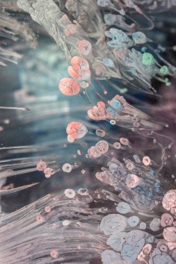 Petri - resimde modern bir teknik, epoksiye alkollü mürekkep ekleyerek yaratılır. Sertleştikten sonra mürekkep damlaları sertleşir ve alg, karamel resifleri ve deniz yatağı gibi görünür..