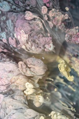 Petri - resimde modern bir teknik, epoksiye alkollü mürekkep ekleyerek yaratılır. Sertleştikten sonra mürekkep damlaları sertleşir ve alg, karamel resifleri ve deniz yatağı gibi görünür..